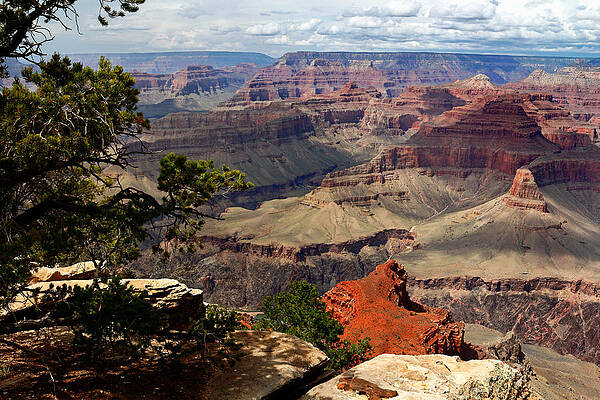 Desert Photograph - On The Edge by Nicholas Blackwell