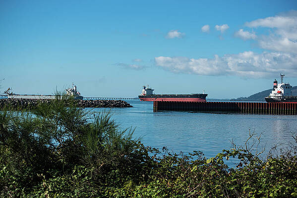 Oregon Wall Art featuring the photograph One Down, Two Up by Tom Cochran