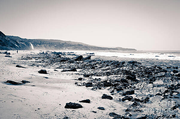 California Wall Art featuring the photograph Orange County California Black And White by Paul Velgos