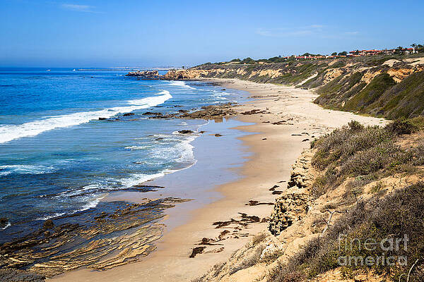 California Wall Art featuring the photograph Orange County California by Paul Velgos