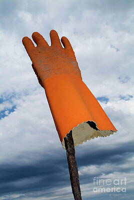 Orange Glove on a Stick Photograph