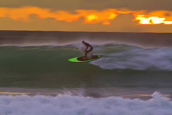 California Photograph - Orange Streaker At Cardiff Reef by Waterdancer