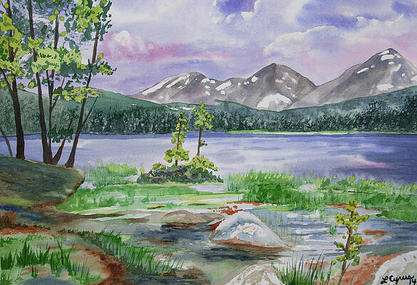 Painting - Original Watercolor - Summer In Rocky Mountain National Park by Cascade Colors