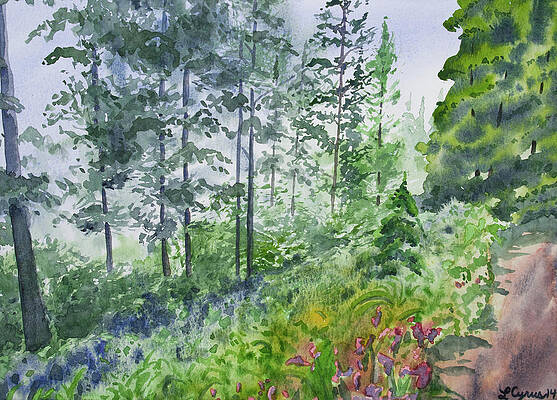 Wilderness Painting - Original Watercolor - Summer Pine Forest by Cascade Colors