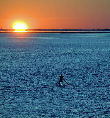 Wall Art featuring the photograph Paddle Boarder by Robert Newman