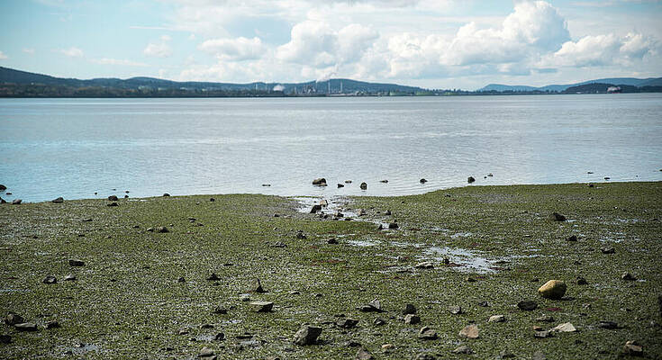 September Photograph - Padilla Bay by Tom Cochran