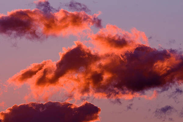 Sky Wall Art featuring the photograph Painted Sky by Nicholas Blackwell