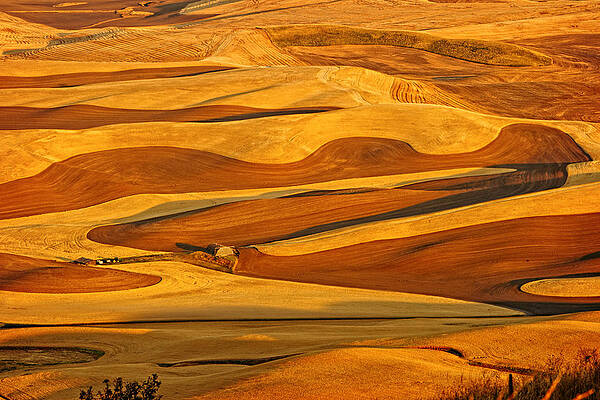 Sky Photograph - Palouse Gold And Brown by Mary Jo Allen