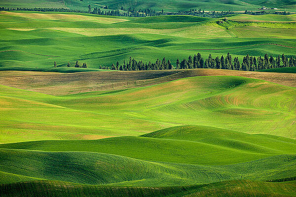 Spring Wall Art featuring the photograph Palouse Spring Hills by Mary Jo Allen
