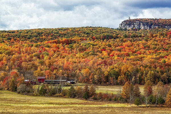 Autumn Landscape with Colorful Foliage Wall Art
