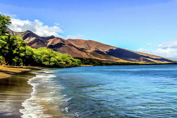 Summer Wall Art featuring the photograph Paradise Beach by Joann Copeland-Paul