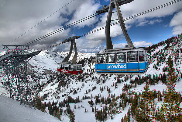 Snowbird Aerial Tram in Winter Photograph
