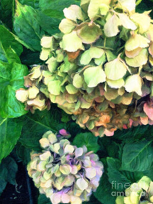 Flower Photograph - Pastel Lovers - Lounging Summer Hydrangeas by Onedayoneimage Photography