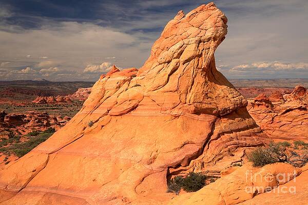 Wilderness Wall Art featuring the photograph Pastels Against The Sky by Adam Jewell