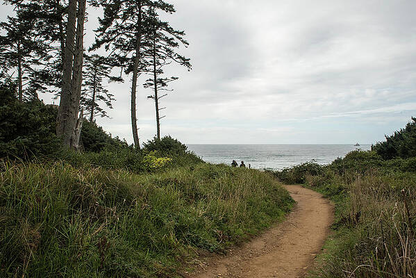 Fall Wall Art featuring the photograph Pathway To A Gray Sea by Tom Cochran