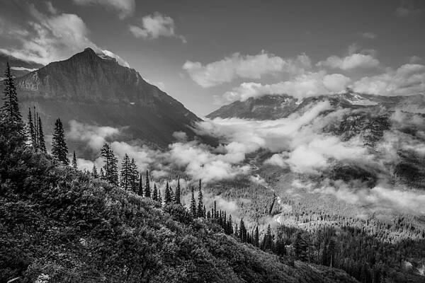 Wall Art featuring the photograph Pause To Wonder - Glacier National Park by Adam Mateo Fierro