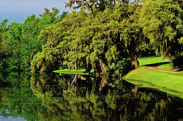South Carolina Photograph - Peace Along The River by Louis Dallara