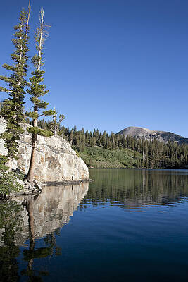 Nature Wall Art featuring the photograph Peaceful by Kelley King