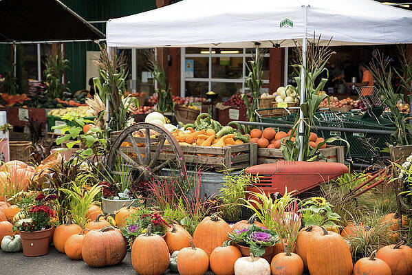 Fall Wall Art featuring the photograph Peddler's Cart by Tom Cochran