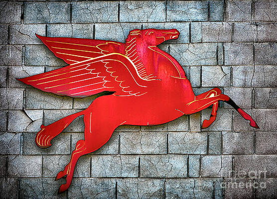 Wall Art featuring the photograph Pegasus by Olivier Le Queinec