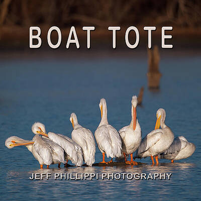 Wall Art featuring the photograph Pelican Boat Tote by Jeff Phillippi