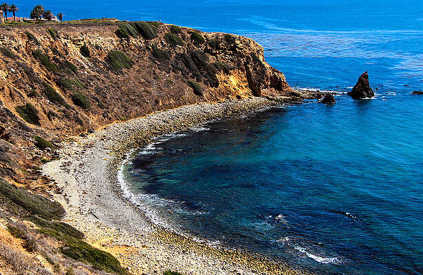 California Photograph - Pelican Cove by Ed Clark