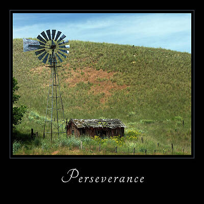 Old Windmill and Shed Wall Art