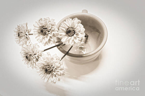Flower Photograph - Petit Bouquet by Onedayoneimage Photography