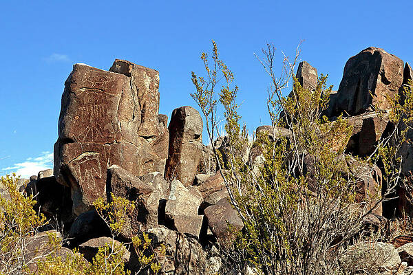 Rocky Photograph - Petroglyphs Of The Chihuahuan Desert by Nicholas Blackwell