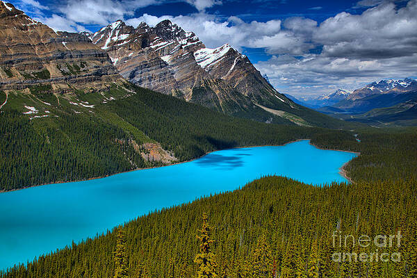 Wilderness Wall Art featuring the photograph Peyto Lake Endless Blues by Adam Jewell