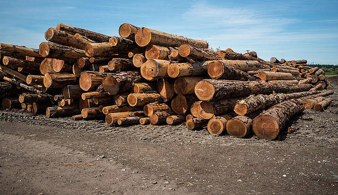 May Photograph - Pick Up Sticks by Tom Cochran