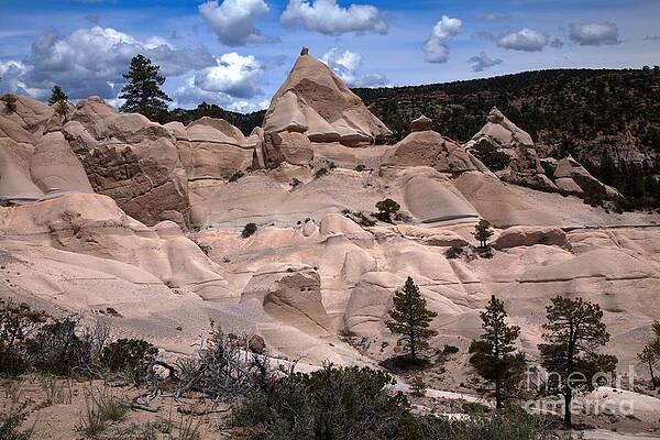 Utah Photograph - Pine Park Utah Tent Rocks by Adam Jewell