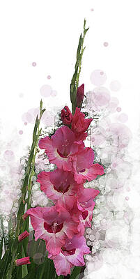 Blossom Digital Art - Pink Champagne by Gina Harrison