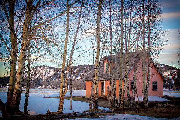 Wall Art featuring the photograph Pink House by Carla E