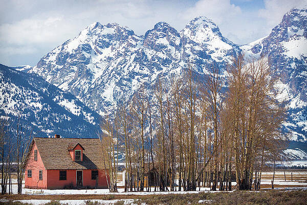 Wall Art featuring the photograph Pink House N Grand Tetons by Carla E