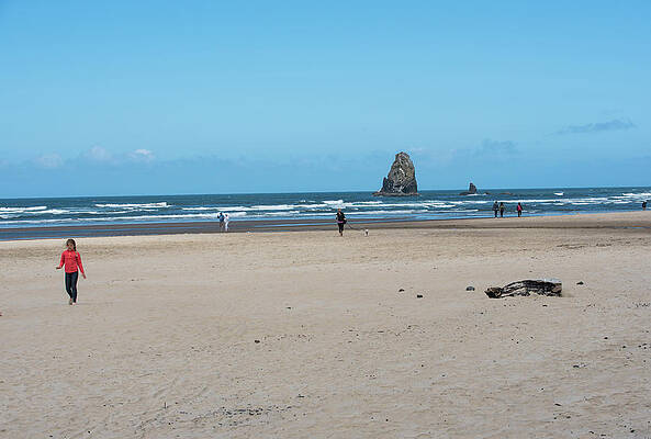 Beach Photograph - Pink Jacket And Charred Log by Tom Cochran