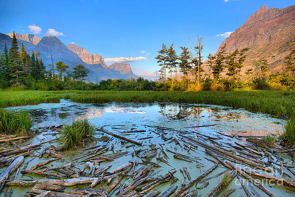 Wall Art featuring the photograph Pink Peaks Over Driftwood by Adam Jewell