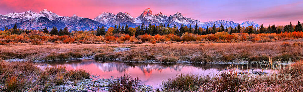 Sunrise Wall Art featuring the photograph Pink Teton Sunrise Panorama by Adam Jewell