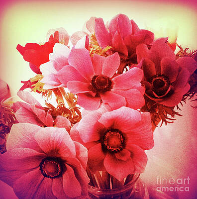 Textured Photograph - Pink Velvet Flowers by Onedayoneimage Photography