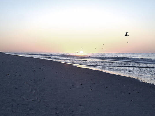 Sky Wall Art featuring the photograph Placid Sunrise by Robert Newman