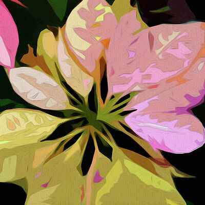 Digital Art - Poinsettia by Gina Harrison