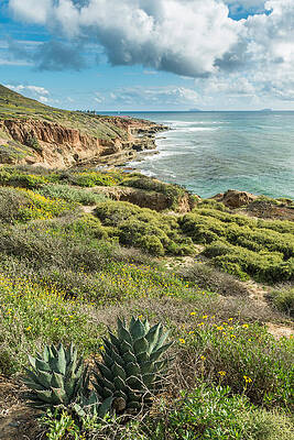 Wall Art featuring the photograph Point Loma Coastline - California Coast Photograph by Duane Miller