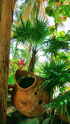Wall Art featuring the photograph Pottery Ambergris Caye Belize by Waterdancer