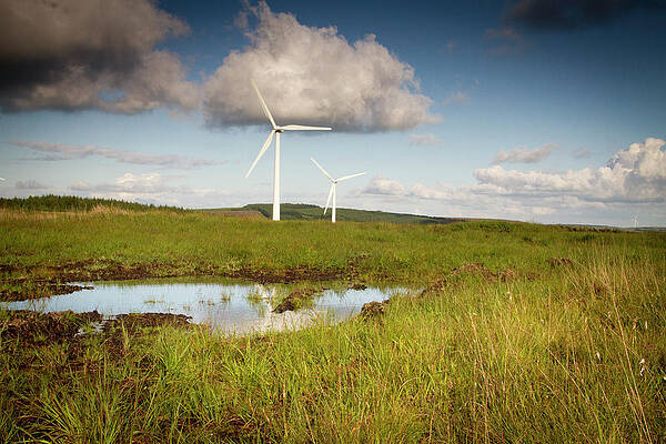 Reflection Wall Art featuring the photograph Powder Puffs by Mark Callanan