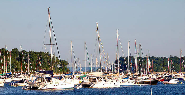 Wall Art featuring the photograph Protected Harbor by Robert Newman