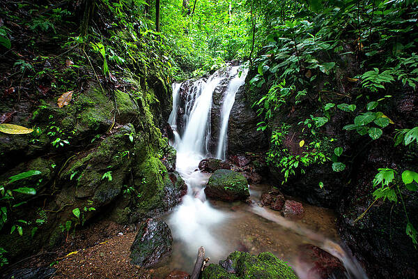 Natural Photograph - Pura Vida Waterfall Horizontal by David Morefield
