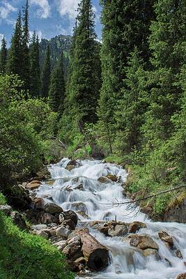 Travel Photograph - Pure And Calm Nature by Robert Grac