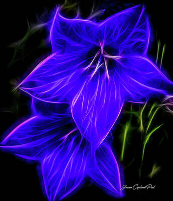 Wall Art featuring the photograph Purple Passion by Joann Copeland-Paul