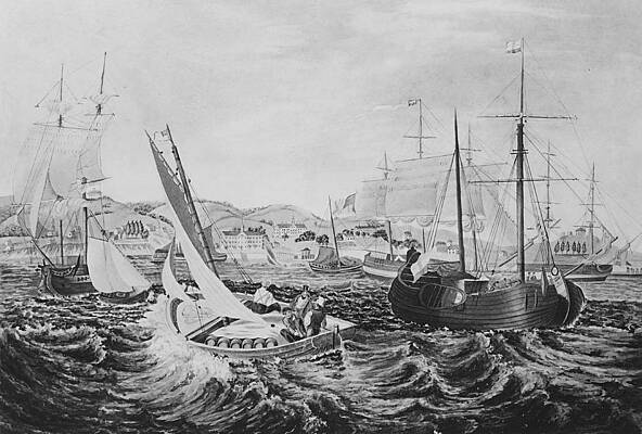 Newman Wall Art featuring the photograph Quarantine by Robert Newman