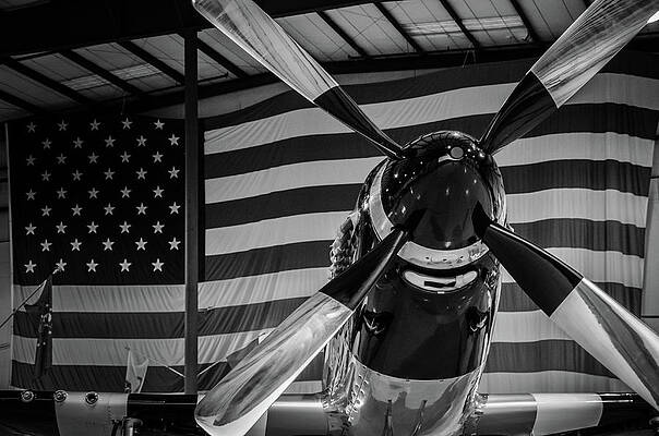 David Photograph - Quick Silver by David Hart